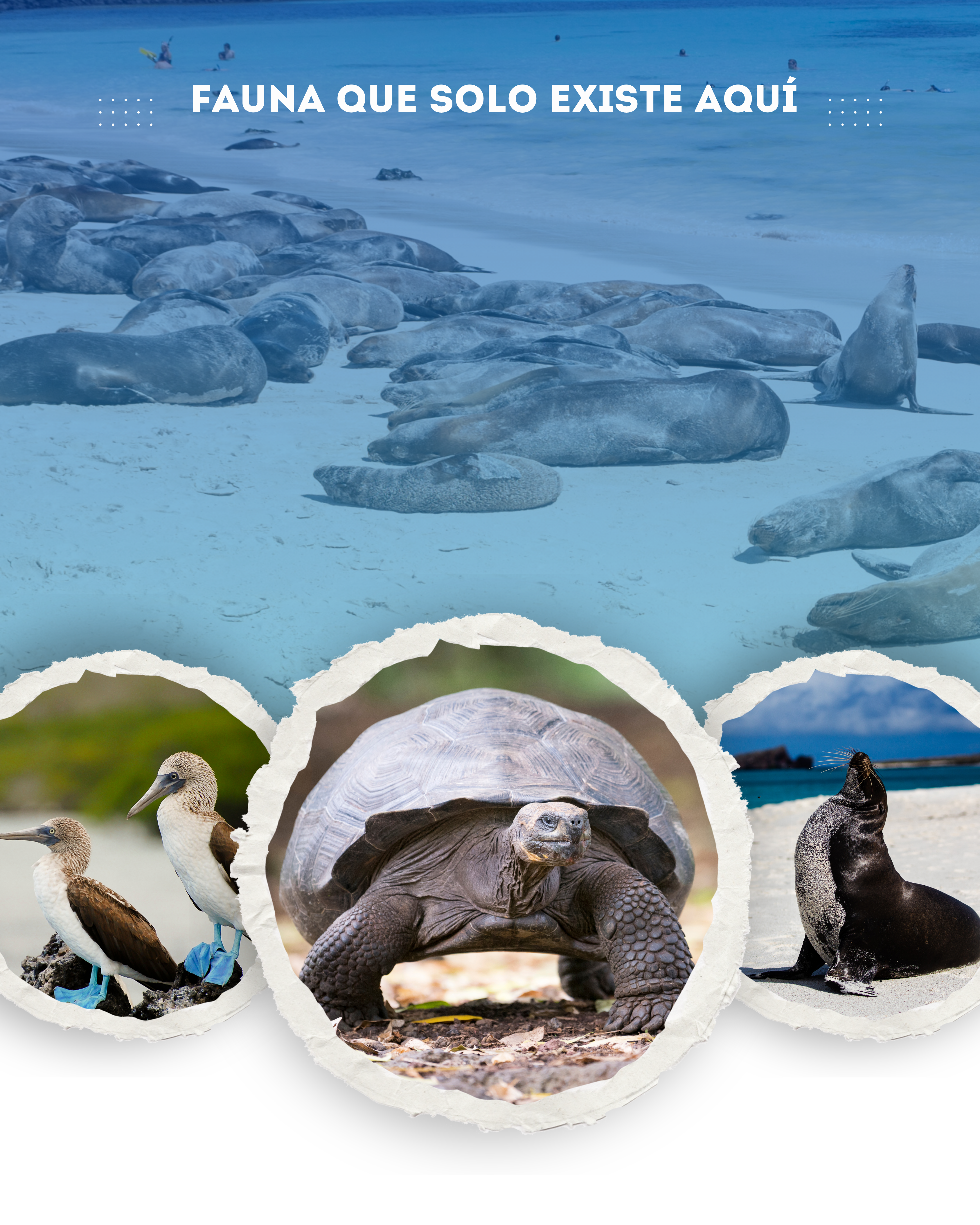 imagen de Islas Galápagos - Viaje al mundo mágico